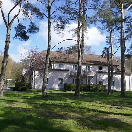 119 Apartment *